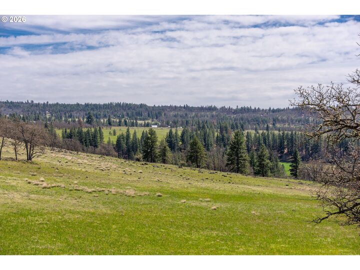 Property Photo: Piney Woods WA 98620