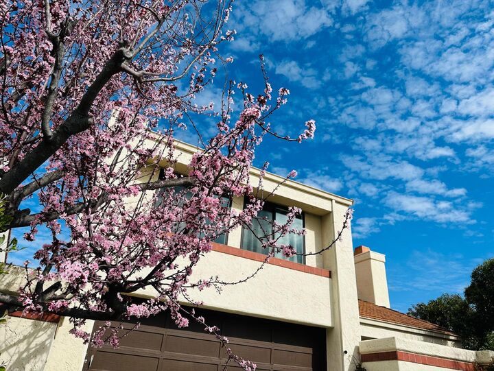 Property Photo:  12 Riviera Circle  CA 94065 