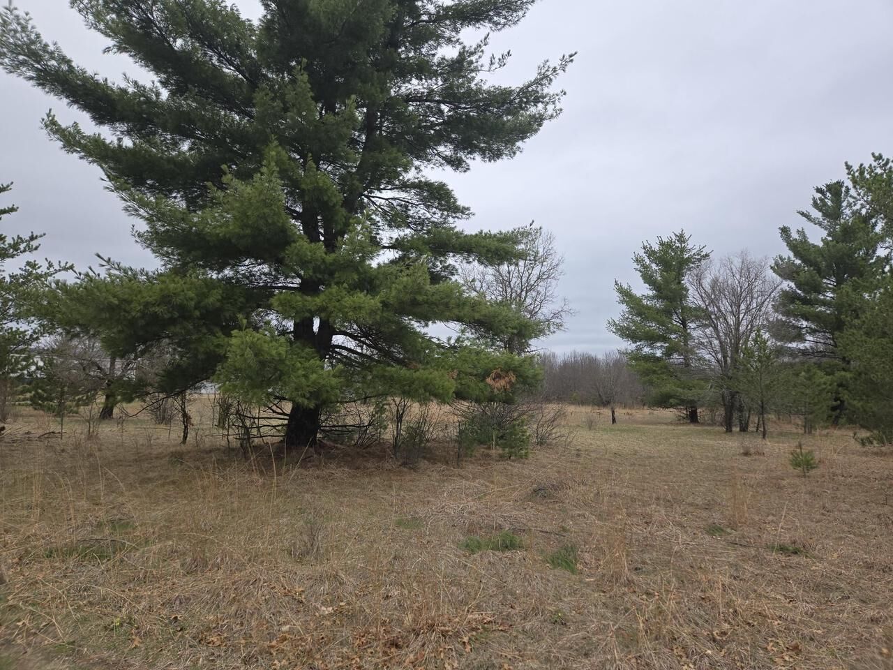 Property Photo:  826 County Road C  WI 54943 