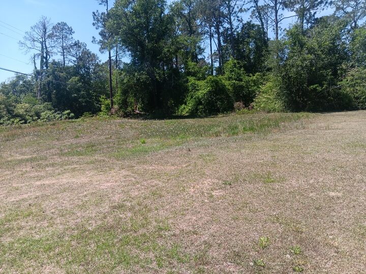 Property Photo:  0 Amber Street  GA 31750 