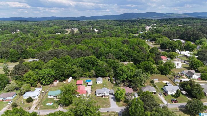 Property Photo:  707 Bain Avenue  AL 36277 