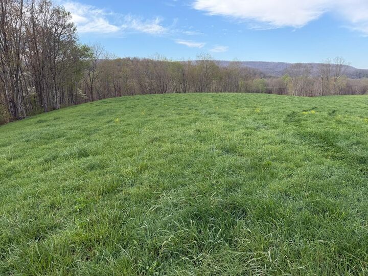 Property Photo:  1999 Snake Run Rd  WV 24910 