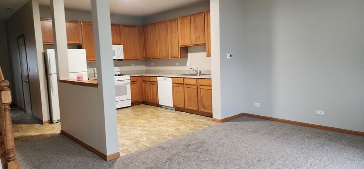 Property Photo:  4561 Garritano Street B  IL 60560 