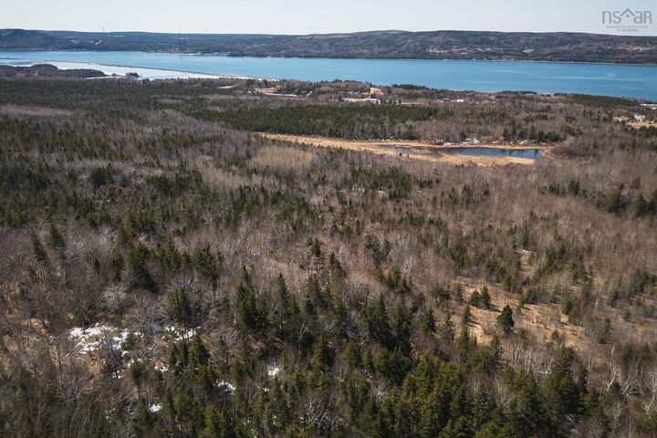 Property Photo:  100 Acres Route 19  NS B9A 1H9 