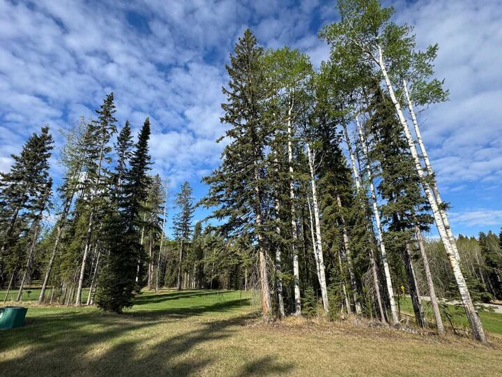 Property Photo: 153 Meadow Ponds Drive AB T4T 1A7