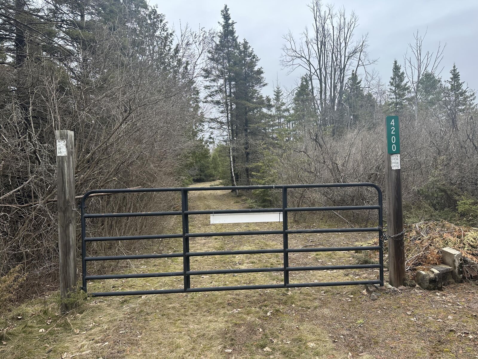 Property Photo:  4200 Bloom Road  MI 49707 