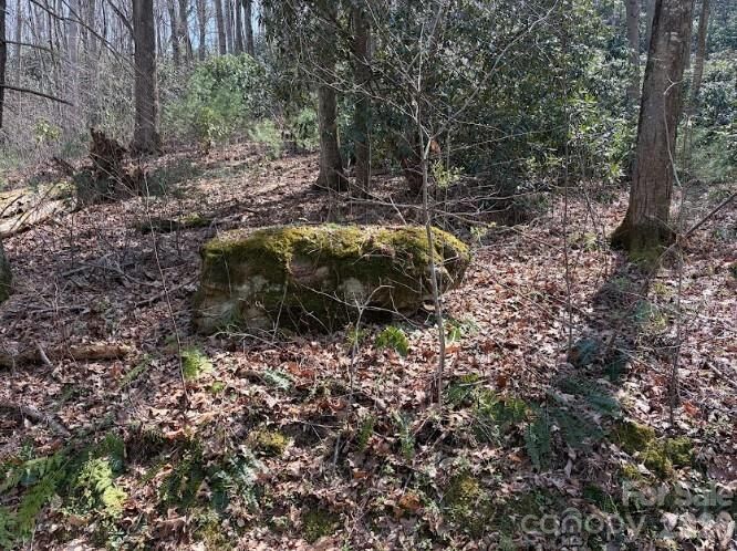 Property Photo:  Tbd Coyote Hollow Road 66  NC 28785 