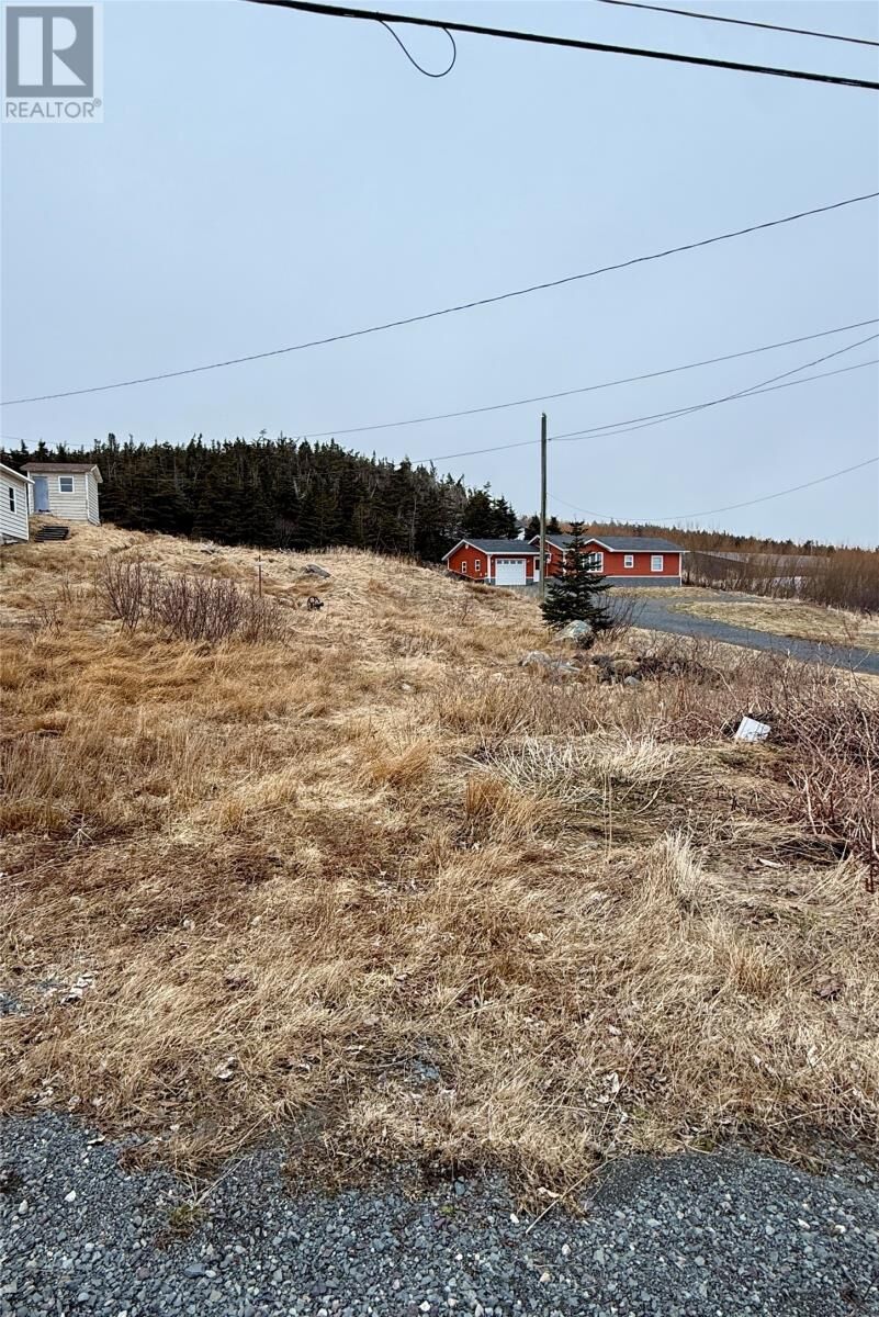 Property Photo:  48 Old Settlement Hill  NL A0B 1W0 