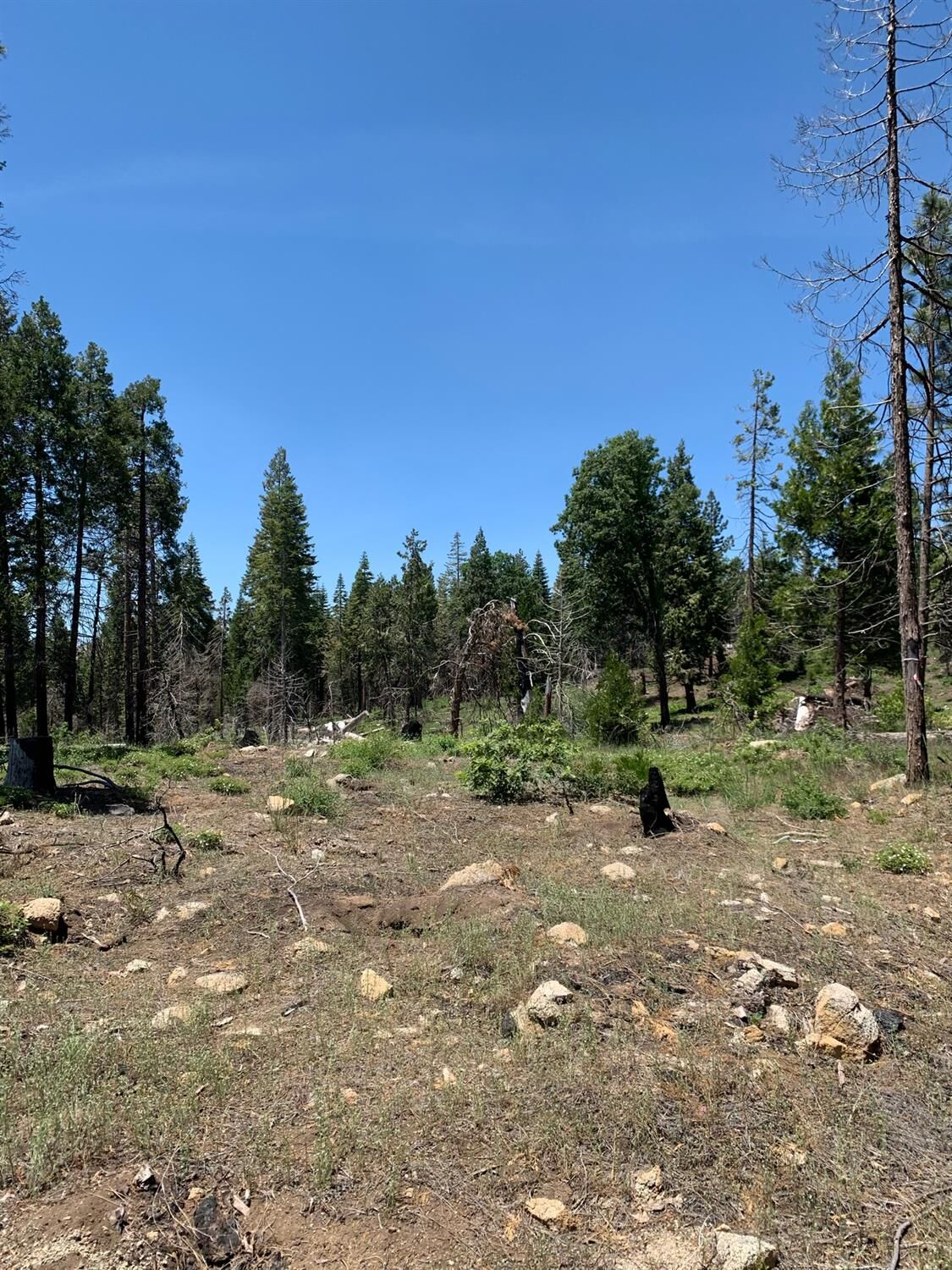 Property Photo:  1 Shaver Lake  CA 93602 