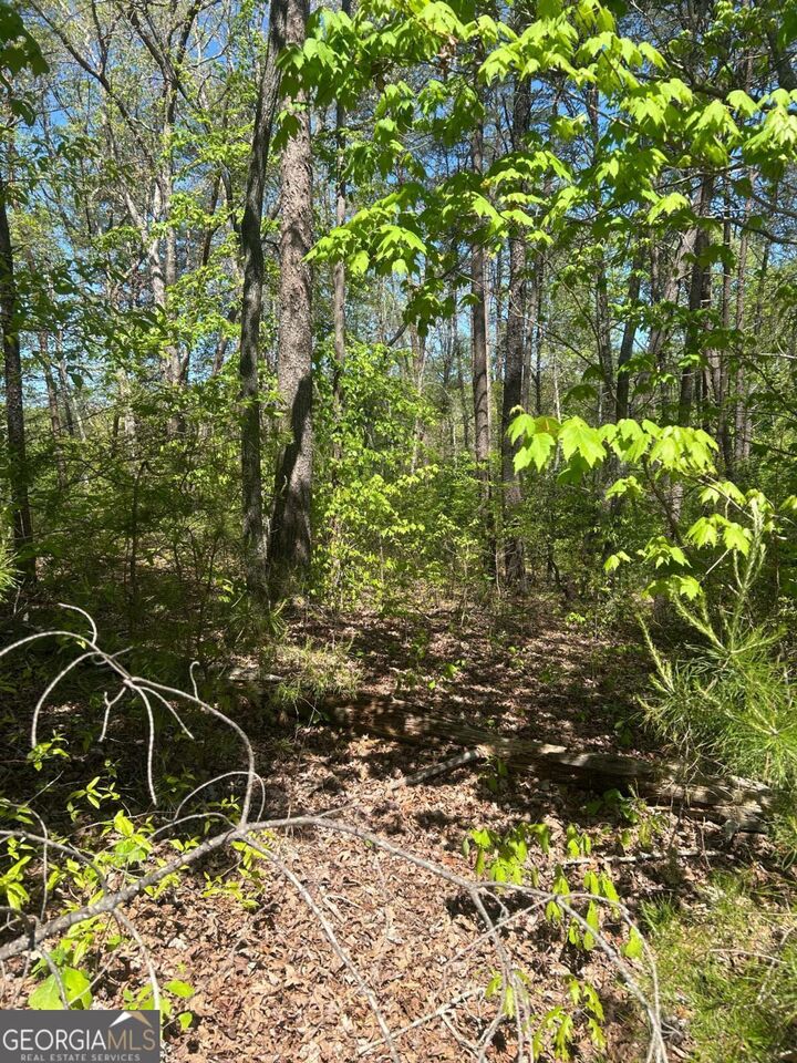 Property Photo:  0 Windfield Circle 35, 36  GA 30513 