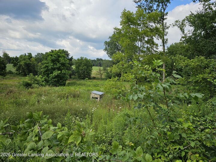 Property Photo:  8475 Ross Road  MI 48860 