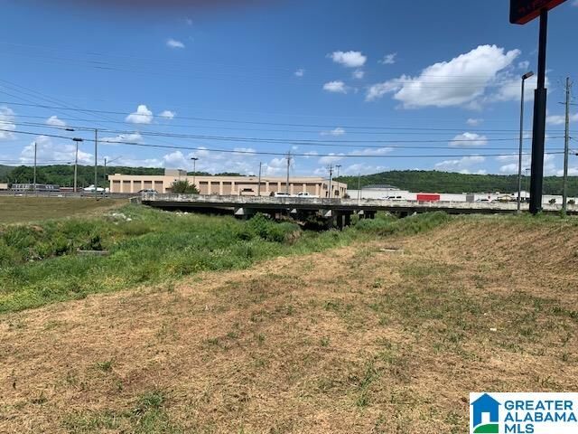 Property Photo:  0 Highway 78 1  AL 36203 