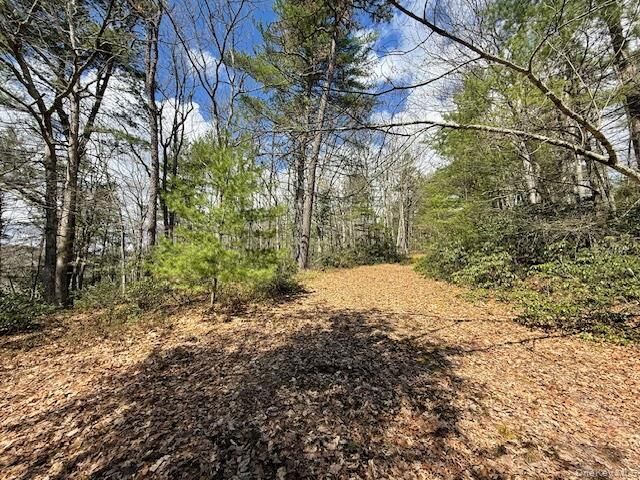 Property Photo: Lot 73.9 Pine Road NY 12737