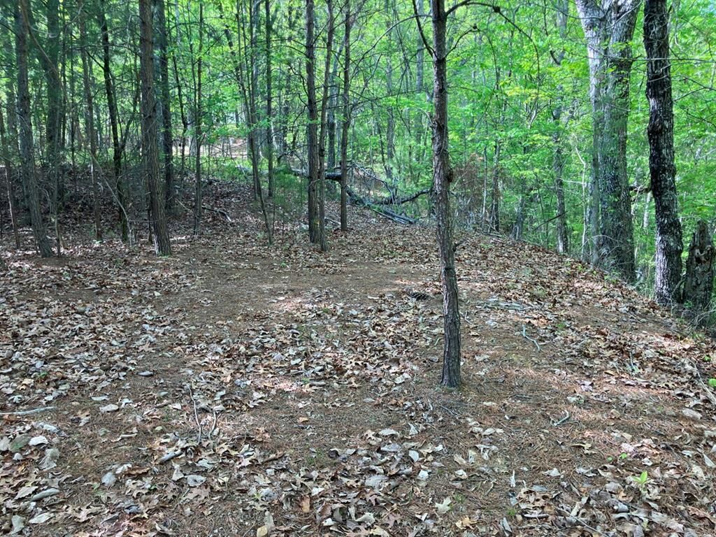 Property Photo: Lt24 Mission Ridge Court NC 28904