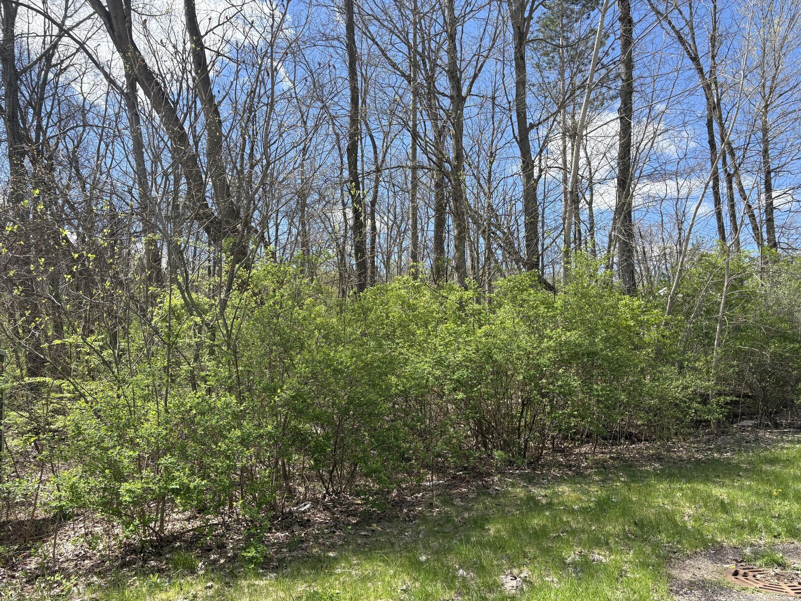Property Photo: 1476 Valley View Drive MI 49120