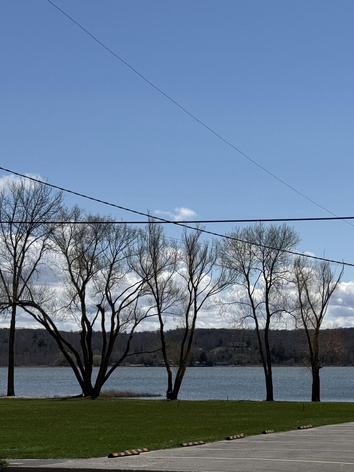 Property Photo:  4990 Main Street  MI 49675 