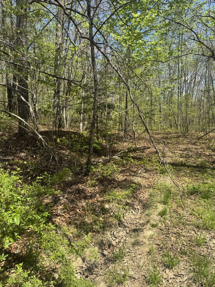 Property Photo:  0 Doe Creek Lake Dr  TN 38583 