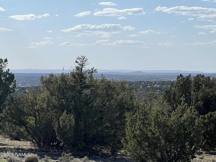 Property Photo:  4800 Whitetail Loop  AZ 86046 