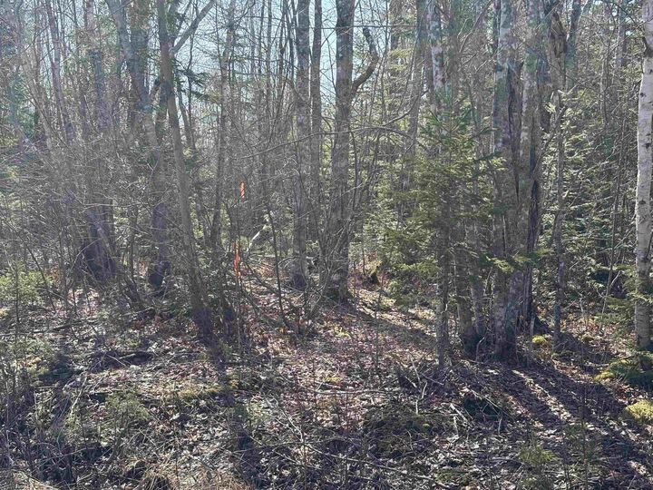 Property Photo:  Bennie Muckle - 30 Acres Road  NS B0N 2A0 