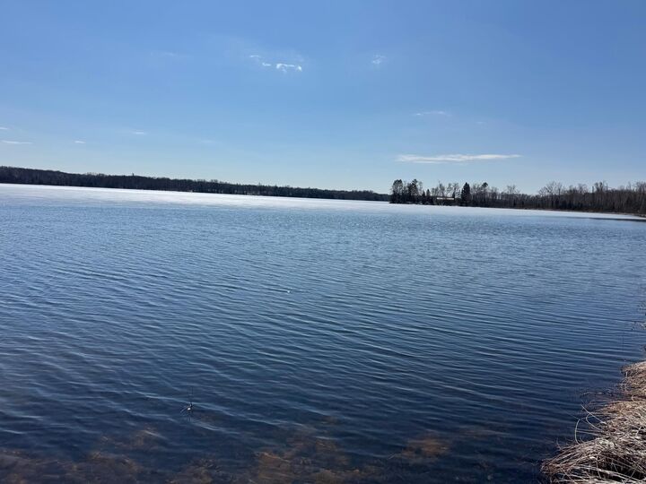 Property Photo:  63768 Hannu Lane  MN 55735 