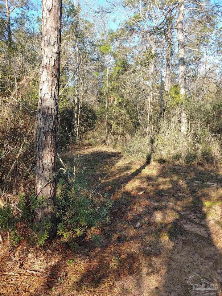 Property Photo:  4874 Seely Rd  FL 32577 