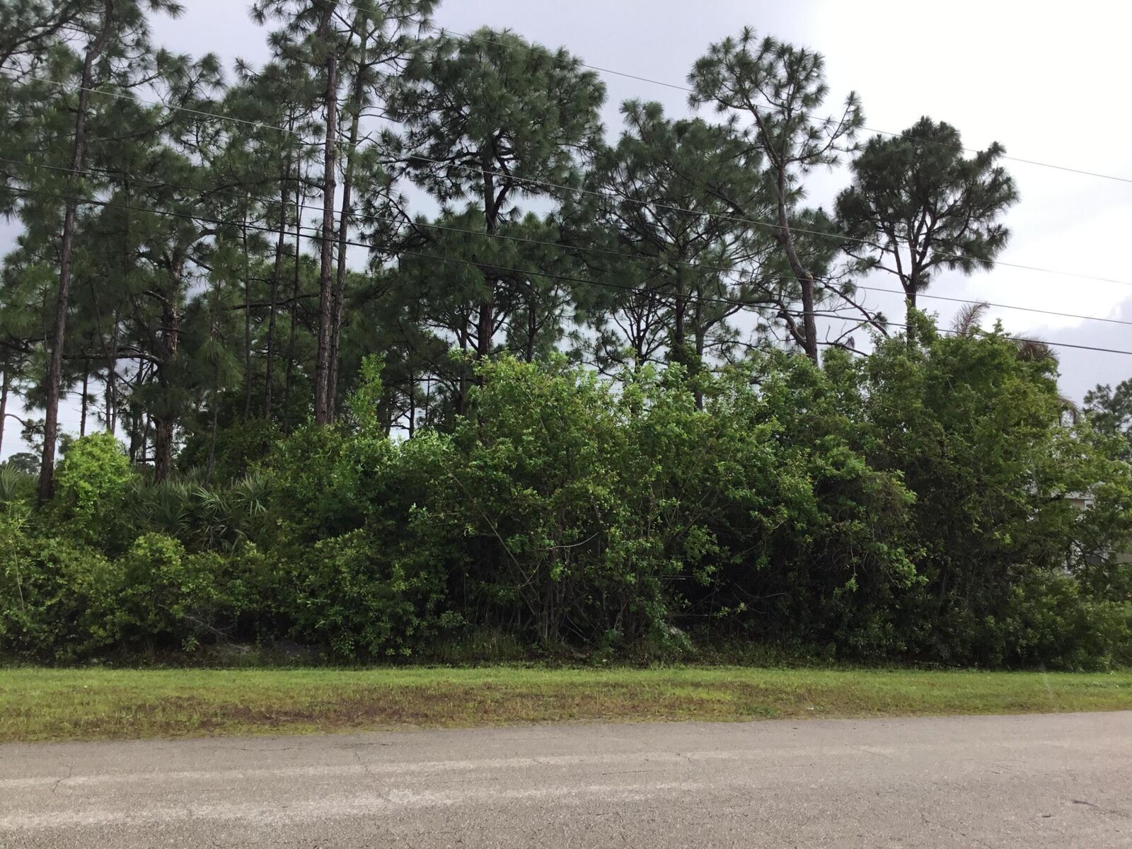 Property Photo:  5925 NW Hann Drive  FL 34986 