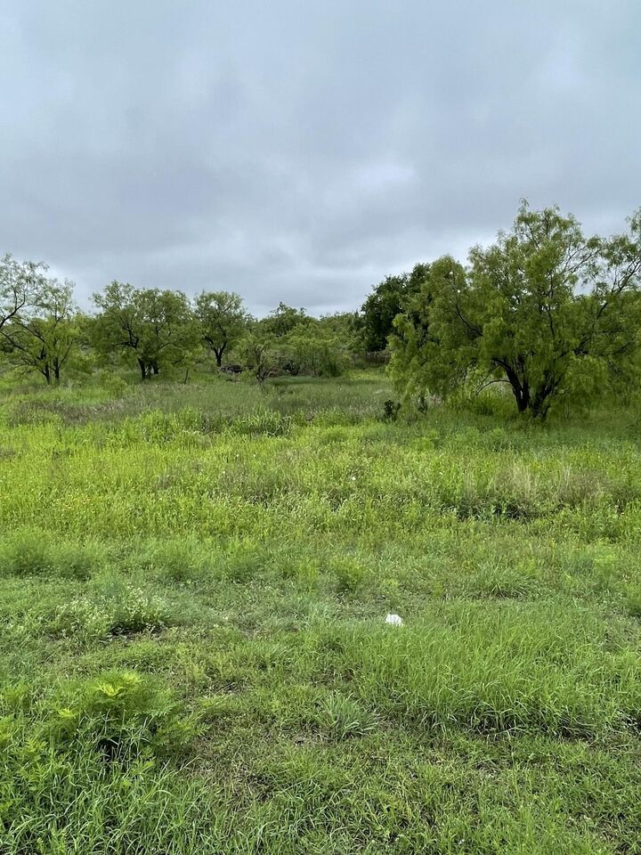 Property Photo:  541 Lake View Heroes Drive  TX 76903 