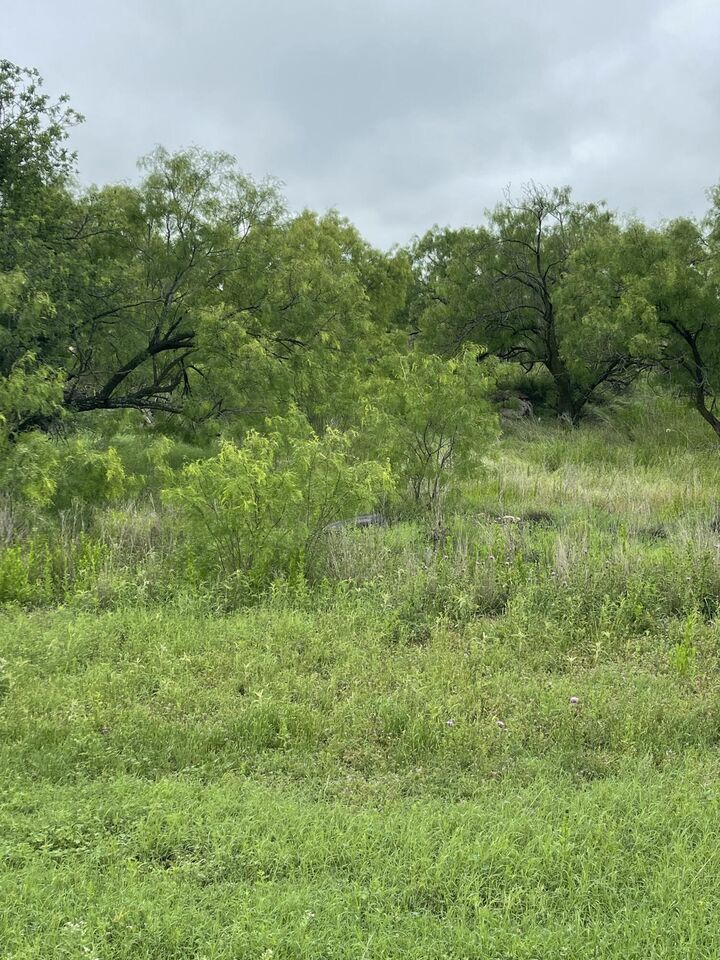 Property Photo:  549 Lake View Heroes Drive  TX 76903 