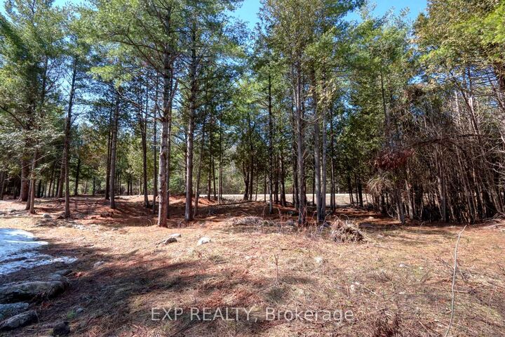 Property Photo:  593 County 40 Road  ON K0L 2V0 