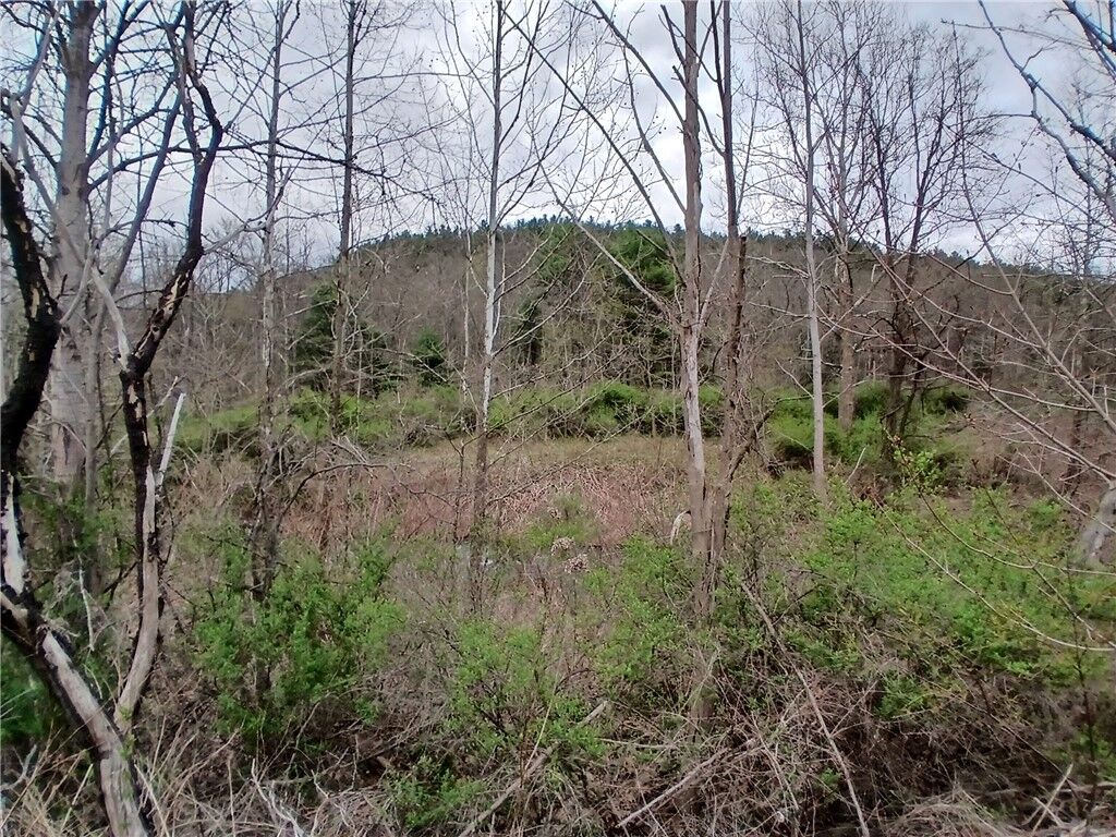 Property Photo:  0 Caton Rd (St Rt 225)  NY 14830 