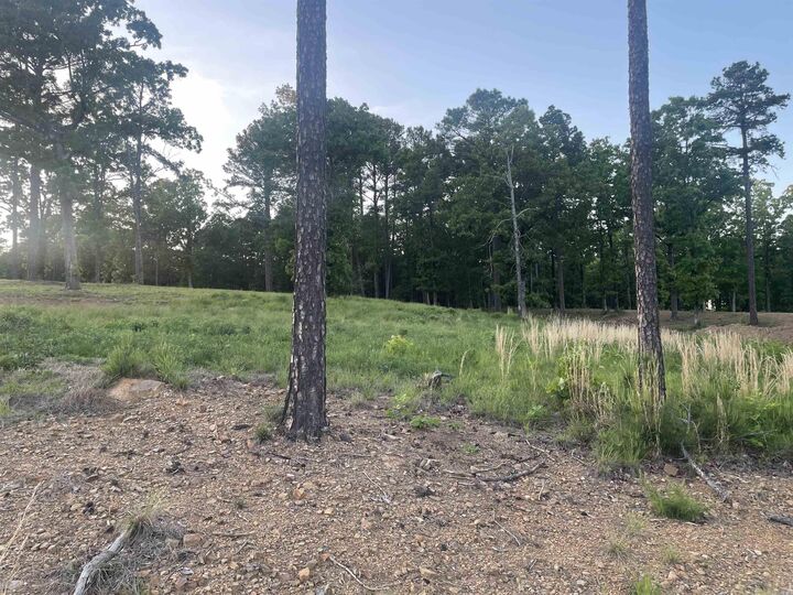 Property Photo:  3000 Orchard Crest Drive  AR 72034 