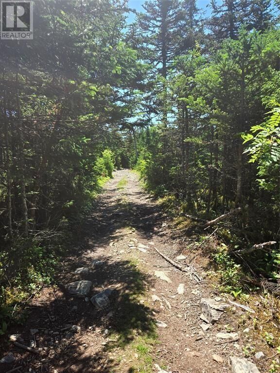 Property Photo:  Lot 5 Edgewater Lane  NL A1K 0G9 