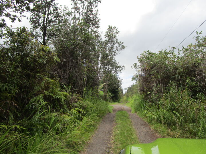 Property Photo:  Road 7 (Opeapea)  HI 96760 