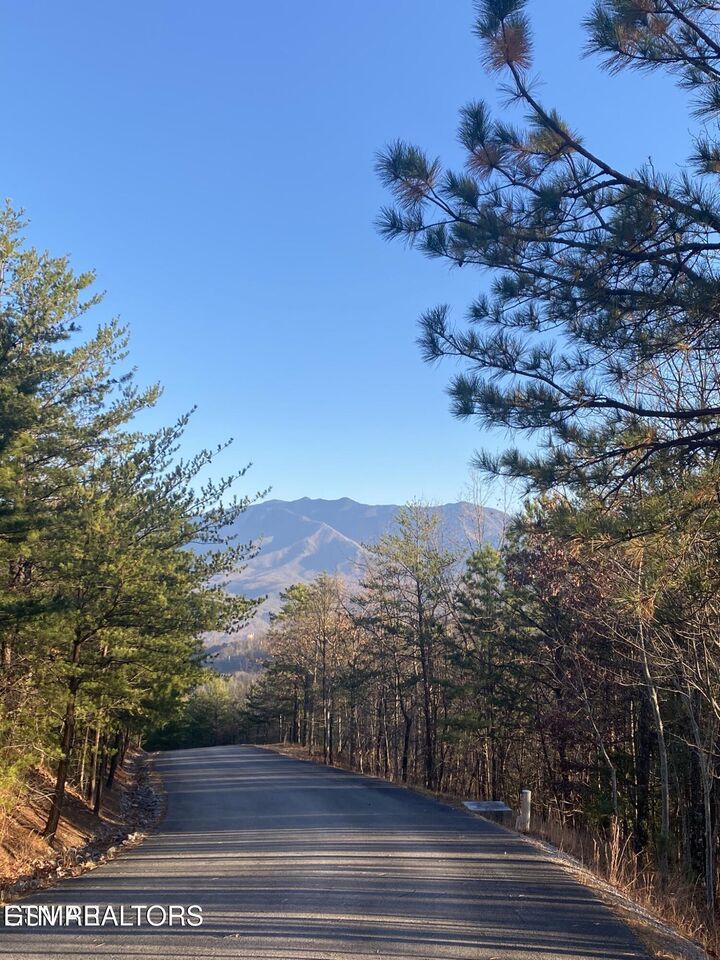 Property Photo:  Lightning Bug Way D 7  TN 37738 