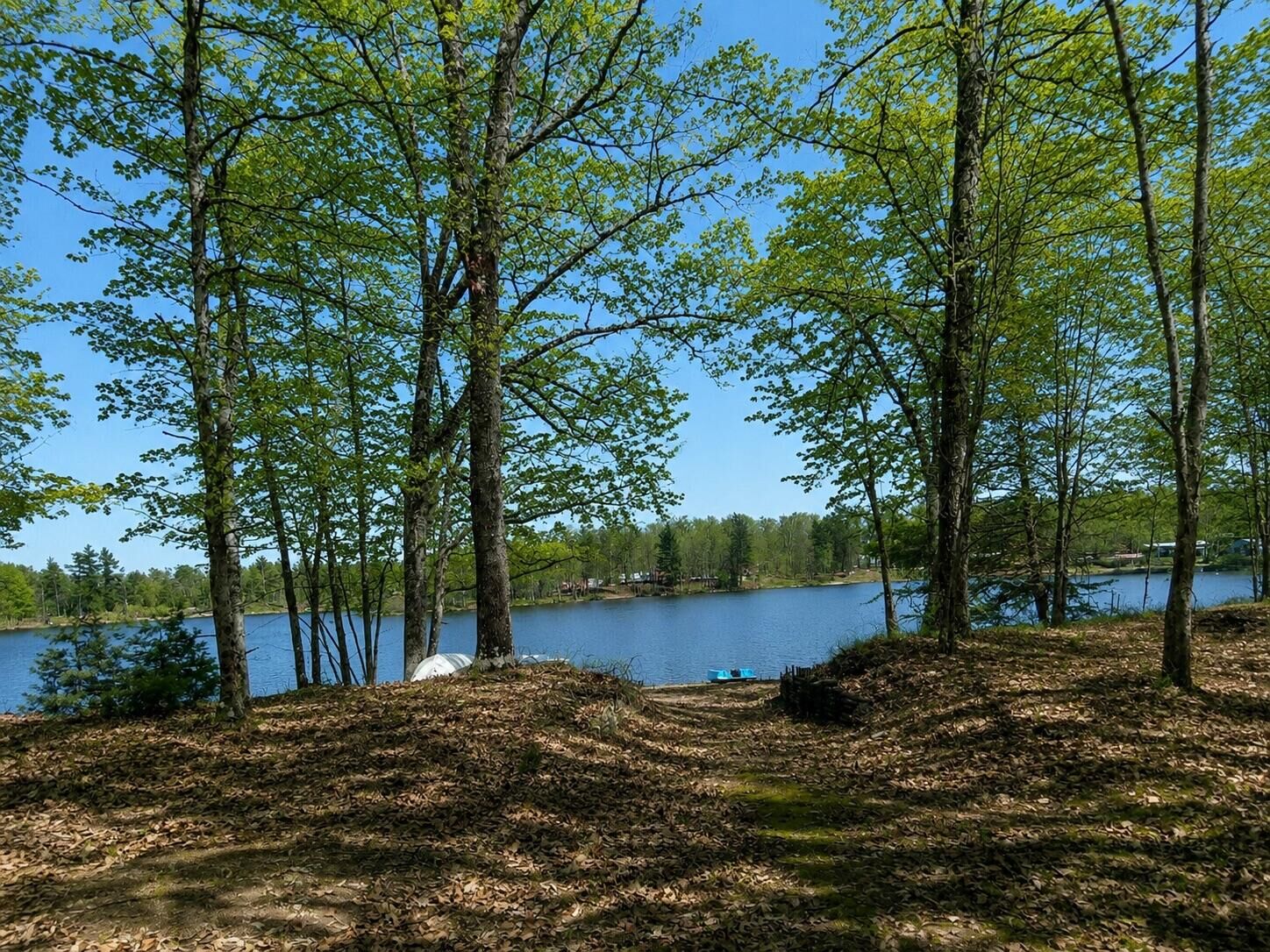 Property Photo:  10746 N Beaver Trail  MI 49309 