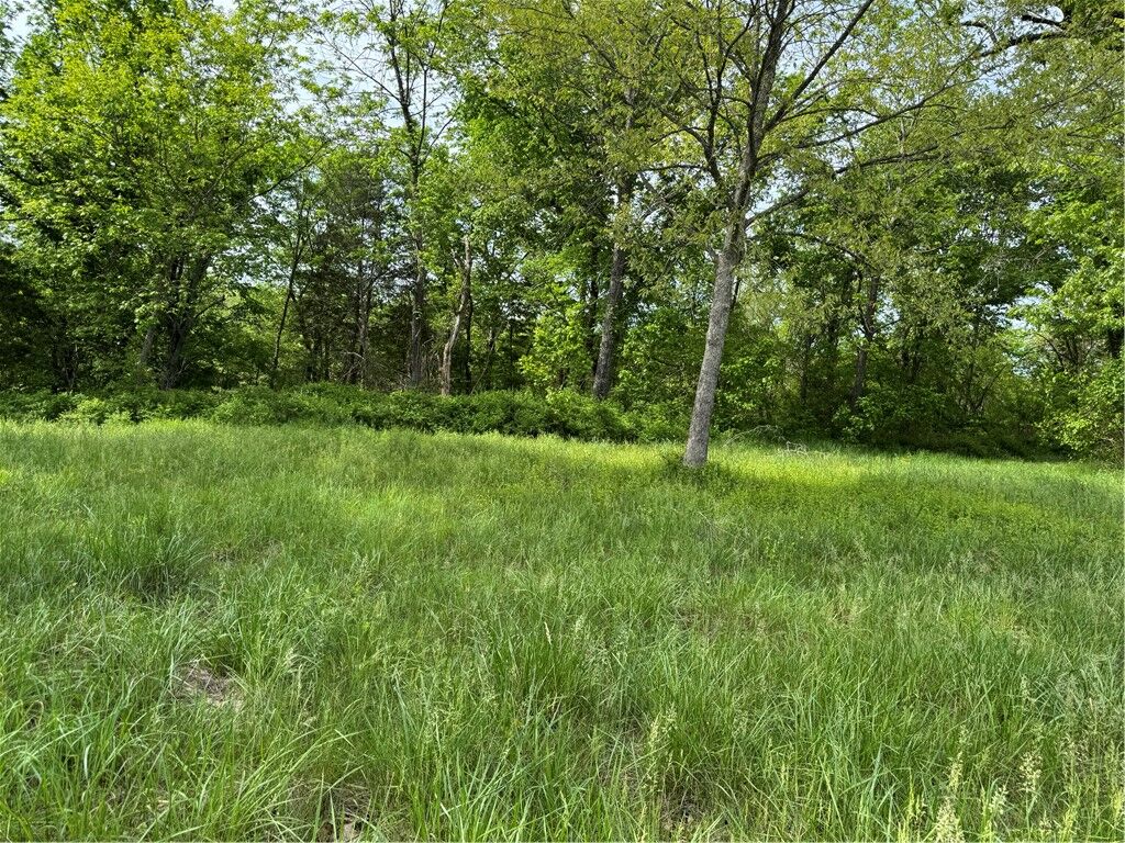 Property Photo:  Hwy 14/McVey  AR 72644 