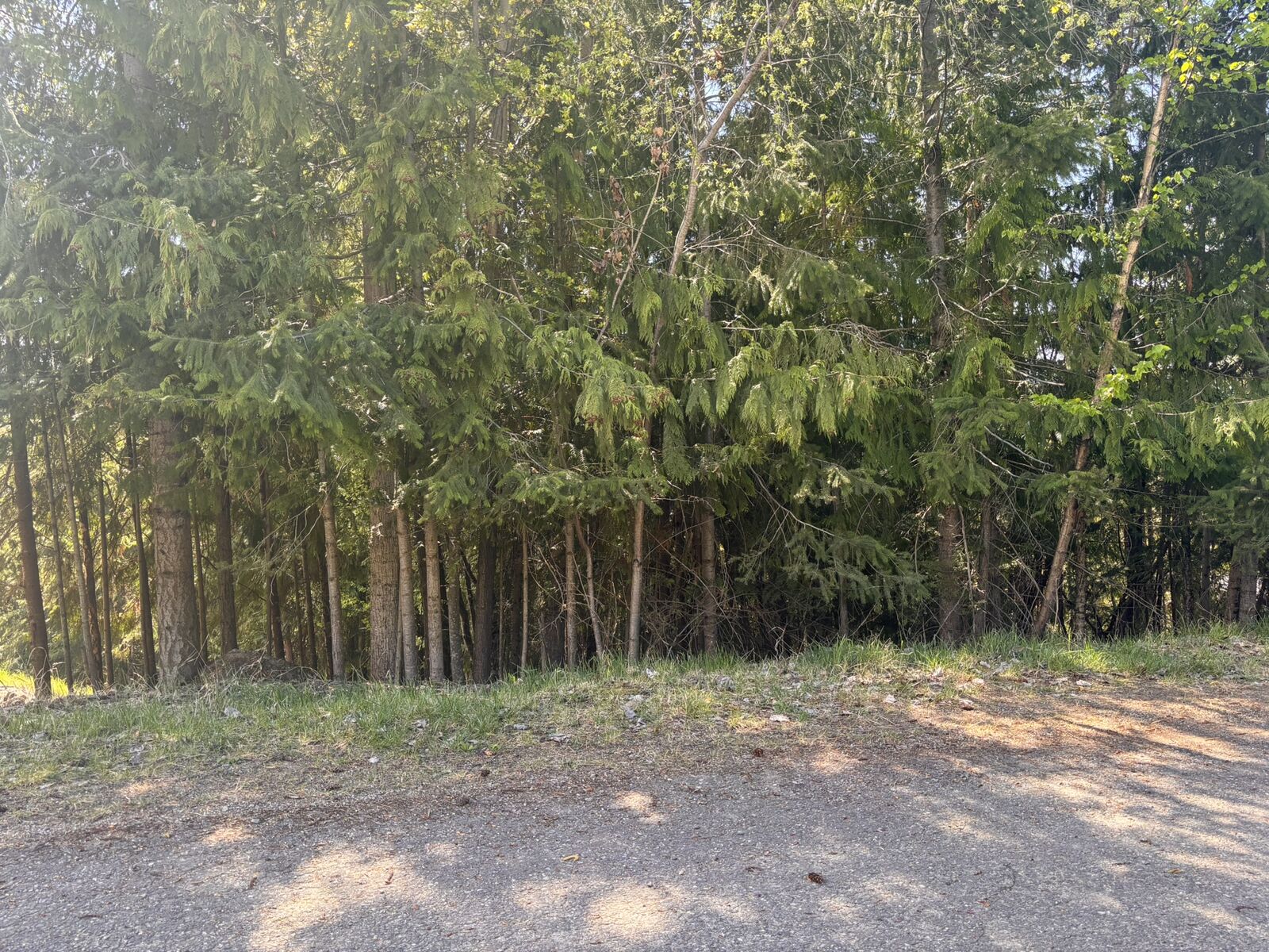 Photo de la propriété:  Lot 8 Stampede Trail  BC V0E 1M8 