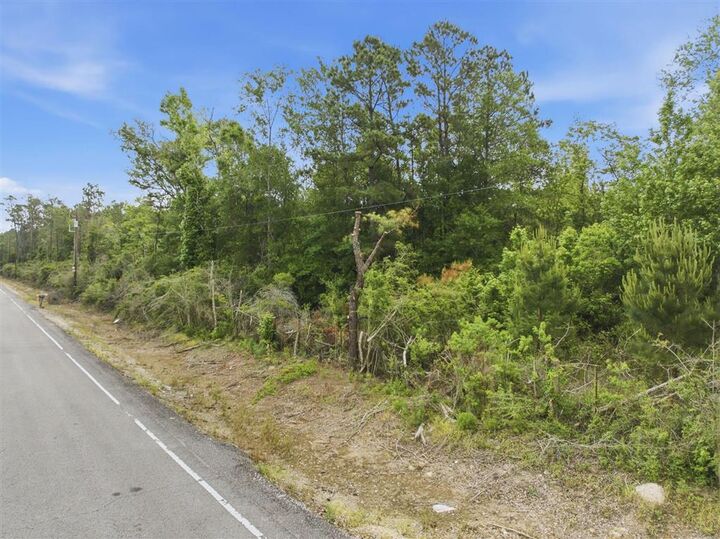 Property Photo:  0 Hecker Road  LA 70647 