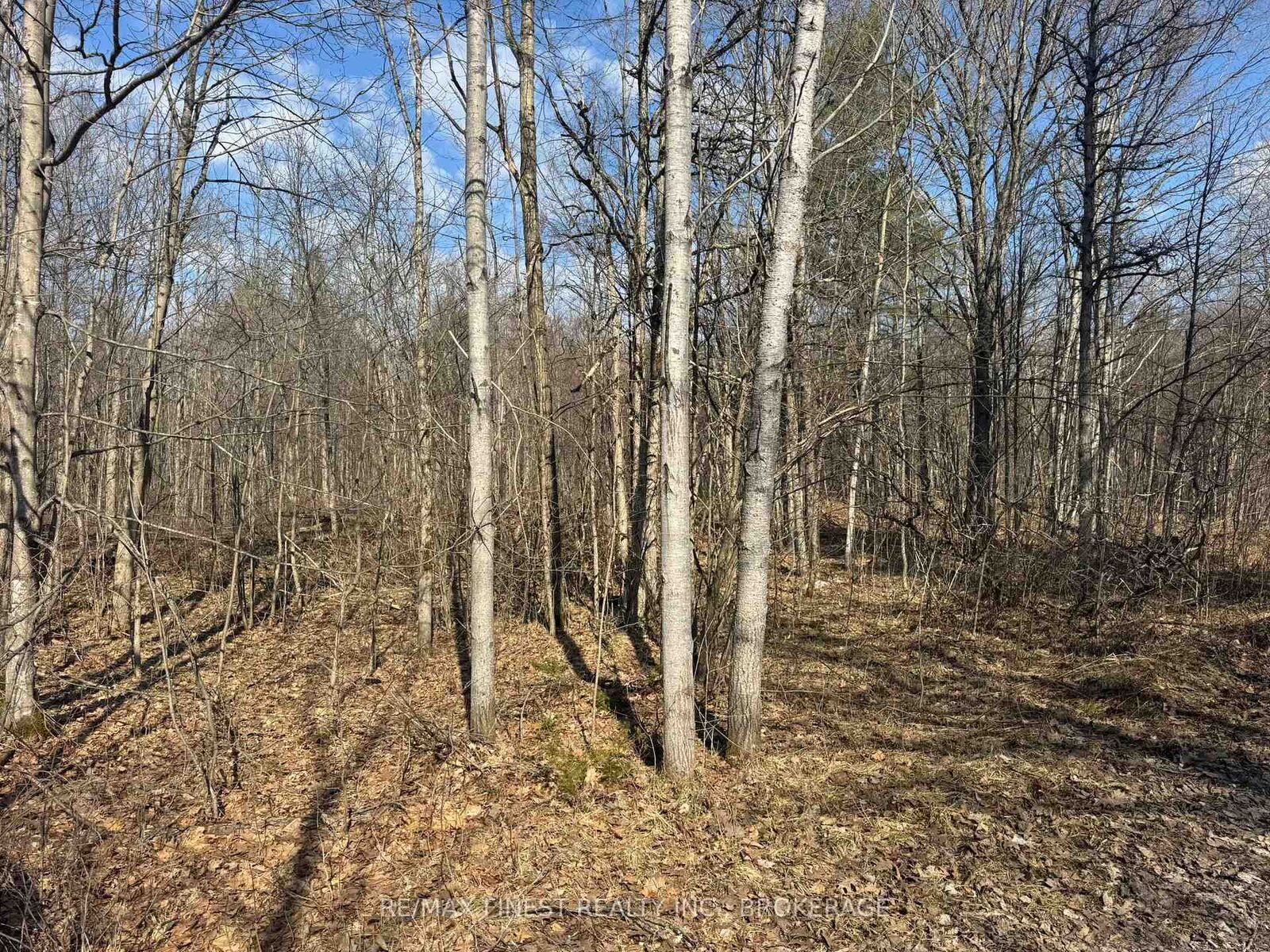 Property Photo:  0 California Road  ON K0K 1Z0 