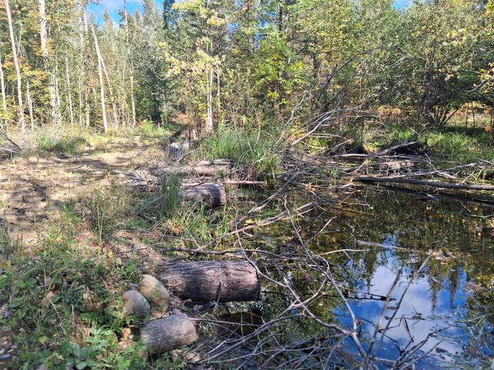 Property Photo: 40.44 Ac Zolner Road MI 49721