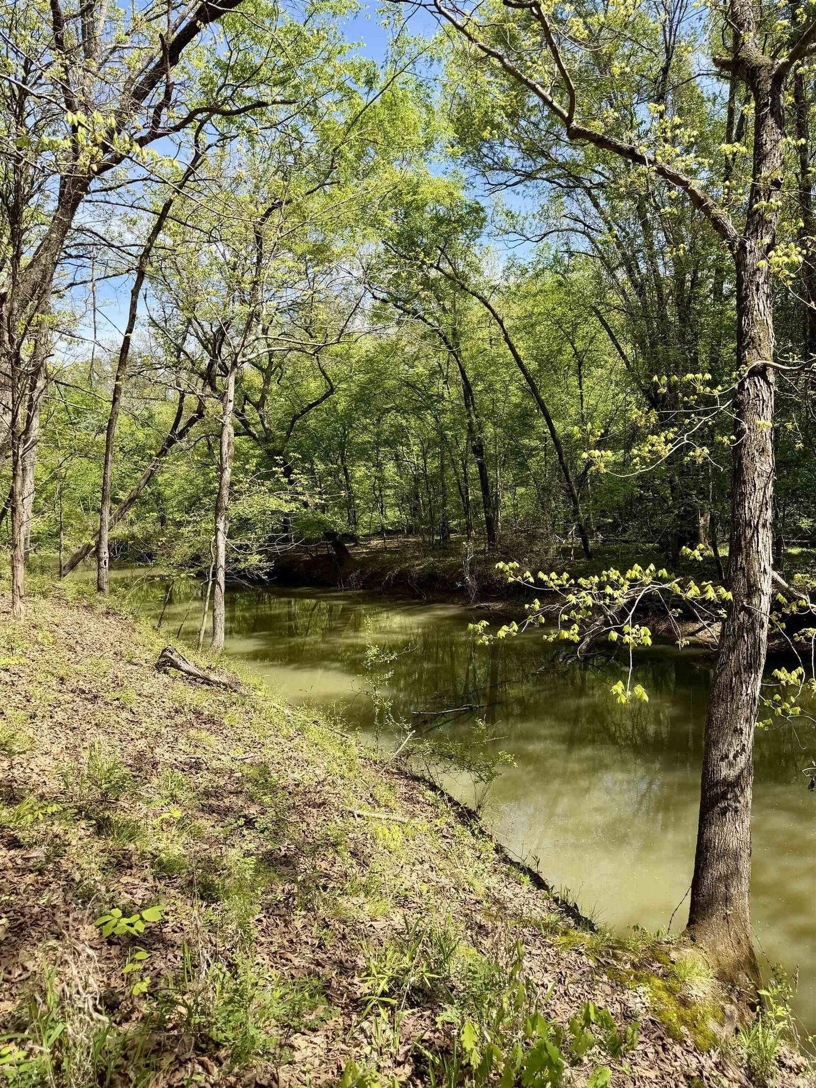 Property Photo:  000 Treva Lane  AR 72830 