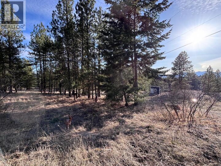 Photo de la propriété:  100 Cougar Court  BC V0H 1V6 