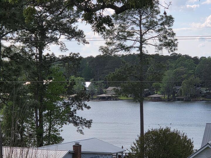 Property Photo:  197 Spring Creek Rd  GA 31796 