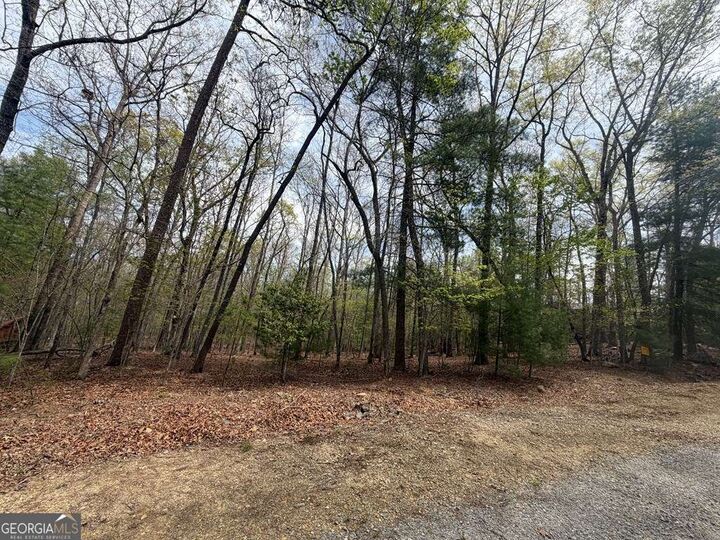 Property Photo:  # 2 Amber Way  GA 30560 