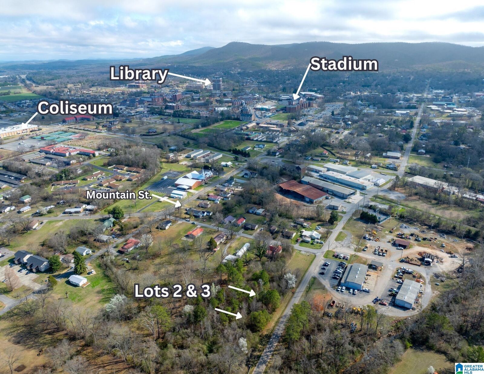 Property Photo: Lot 2 Francis Street 2 AL 36265