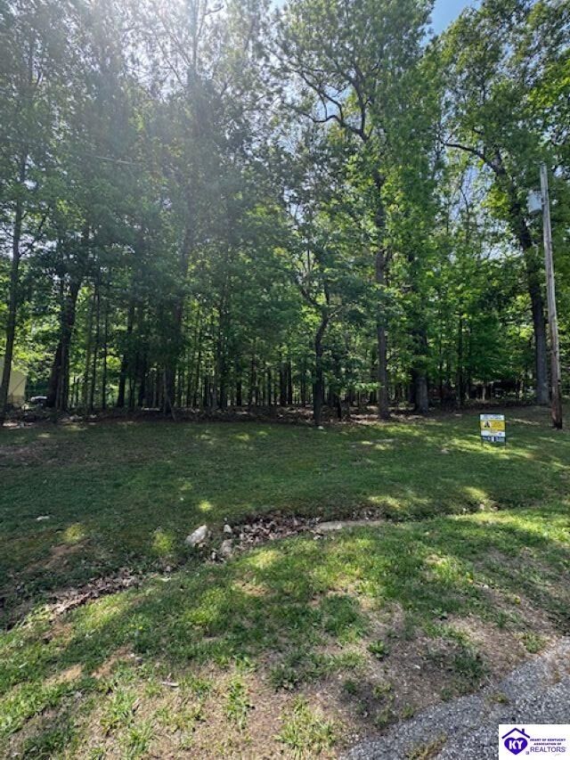 Property Photo:  Lot 49 Bluebird Road  KY 40108 