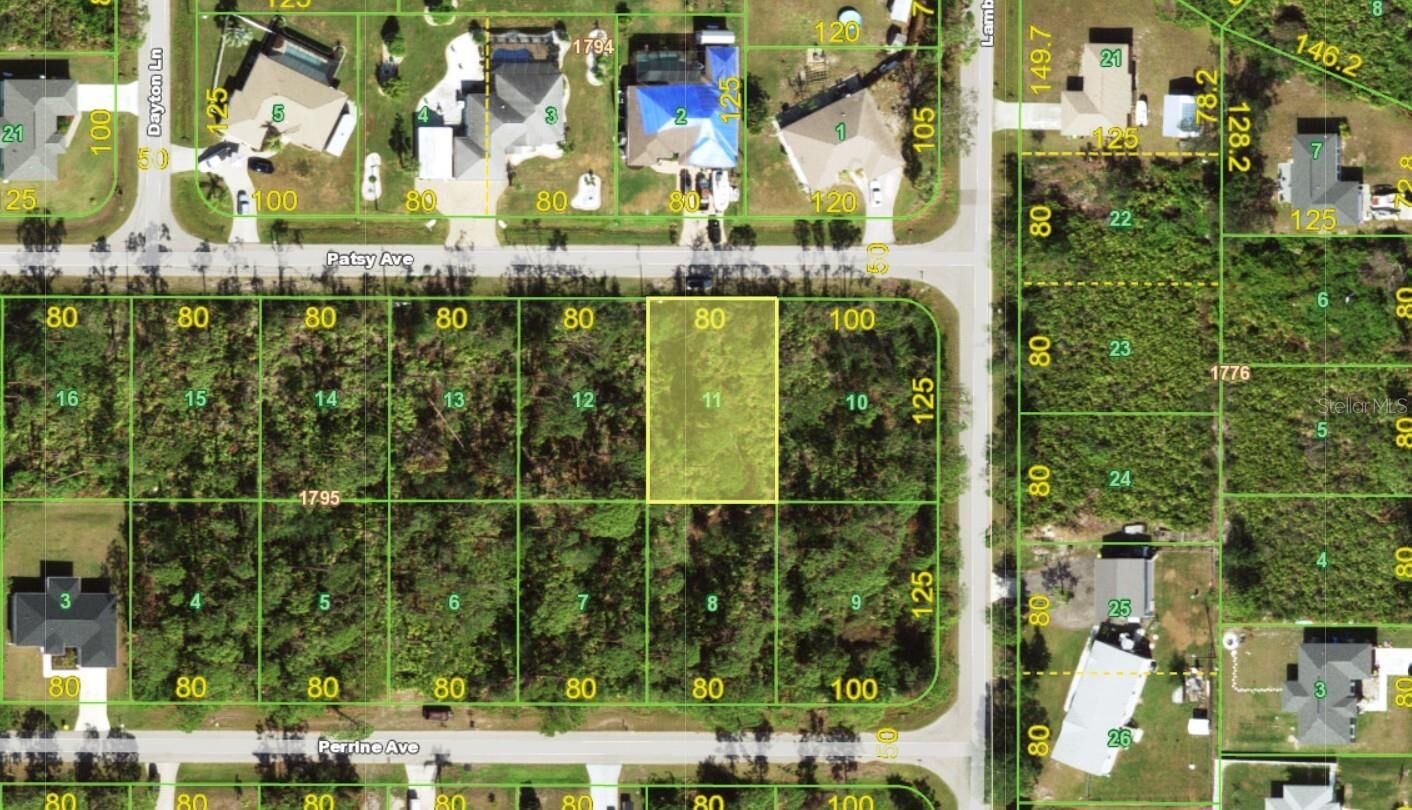 Property Photo:  12519 Patsy Avenue  FL 33981 