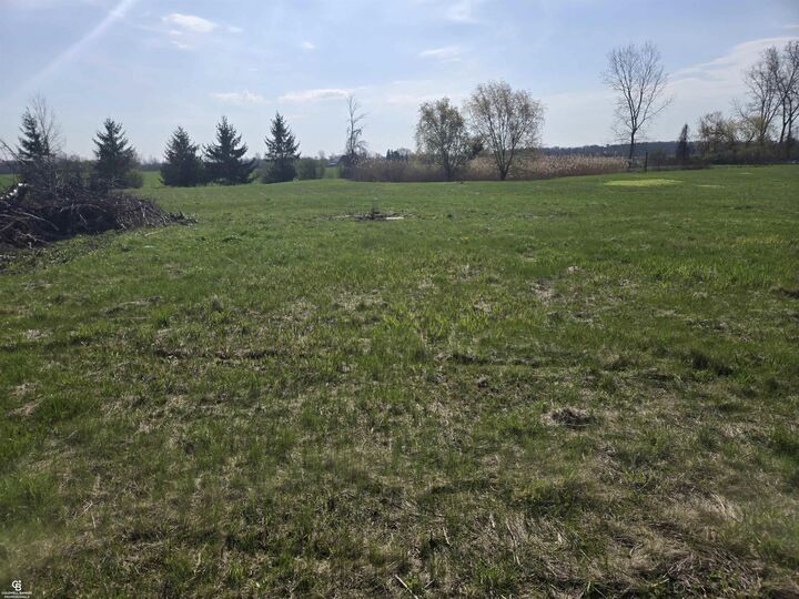 Property Photo:  00 Brockway Vl Road  MI 48097 