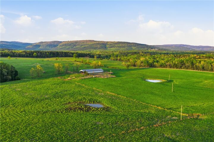 Property Photo:  1709 County Road 4451  AR 72830 