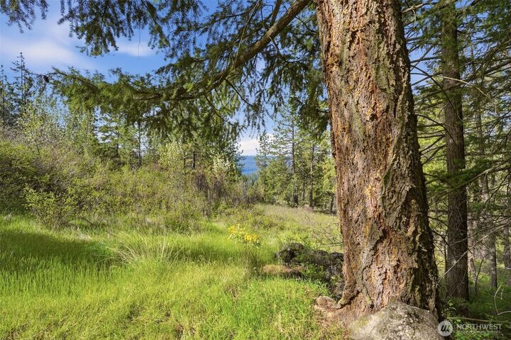 Property Photo:  0 Nka N Abigail Lane  WA 99208 